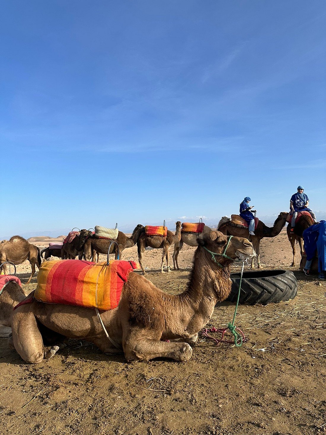 Agafay Desert Package, Quad Bike, Camel Ride and Dinner Show