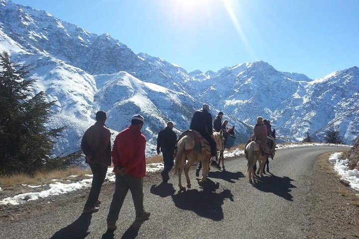 Atlas Mountains and 3 Valleys & Waterfalls - Camel ride Marrakech