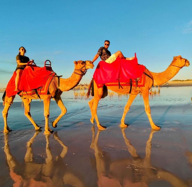 Camel Ride in Tangier