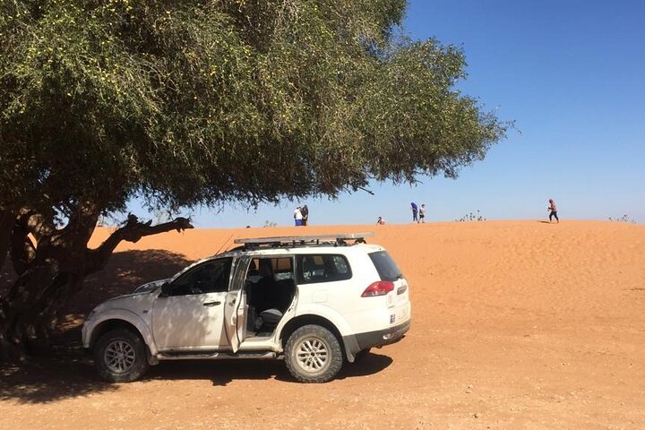 Day trip from Agadir to Massa in 4X4