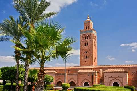 Marrakech Medina Walking Tour: Half-Day Guided Tour