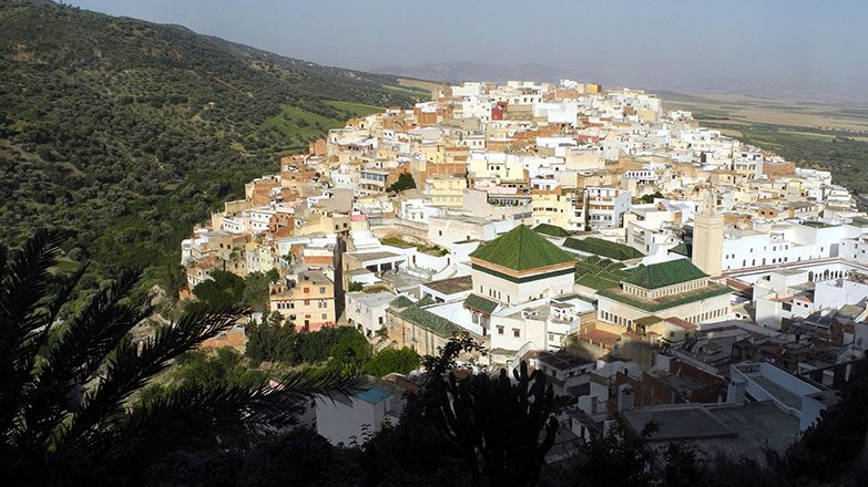 Fès to Volubilis, Moulay Idriss and Meknès Private Day Trip