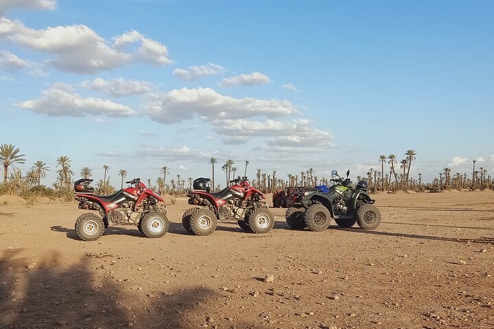 Sunset Quad Biking in the Palm Grove of Marrakech