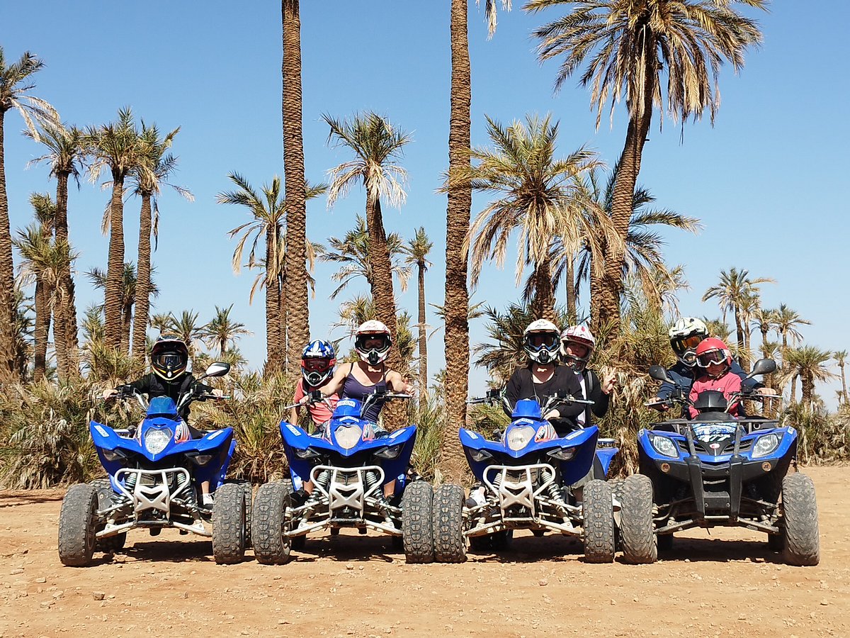 Marrakech: Camel Ride or Quad Tour in the Oasis Palmeraie