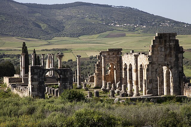 Fès to Volubilis, Moulay Idriss and Meknès Private Day Trip