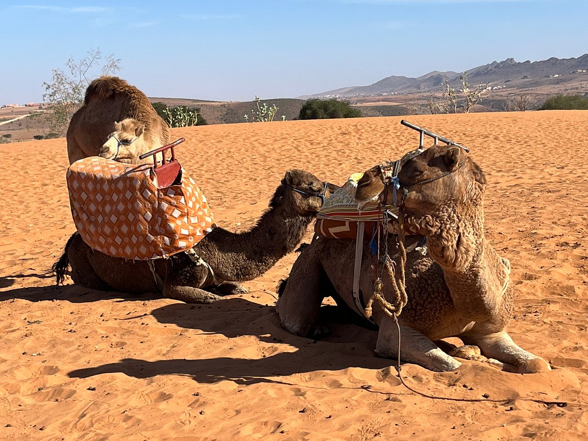 Day trip from Agadir to Massa in 4X4