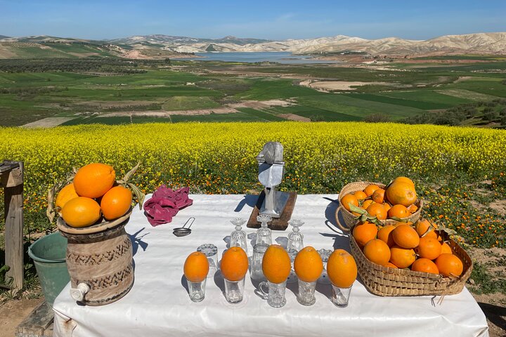 One-day historical visit to Meknes Volubilis Moulay Idriss