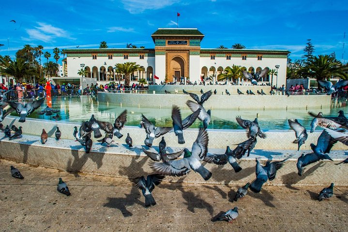 Morning Casablanca: The Medina and Beyond Cultural Walking Tour