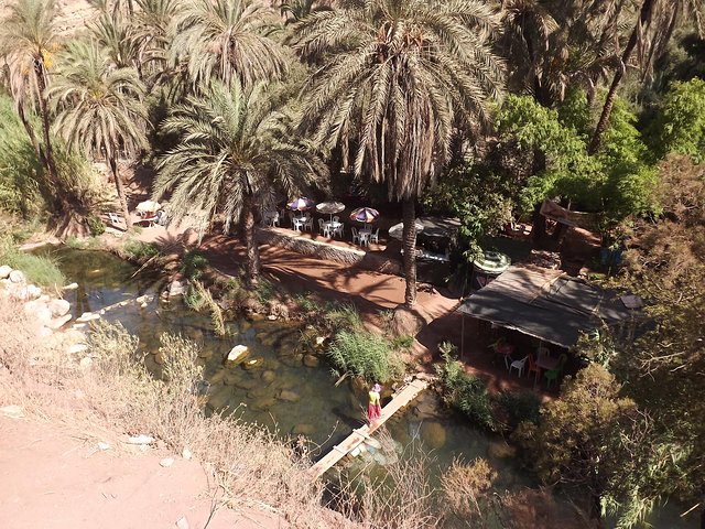 Paradise valley half day from Agadir