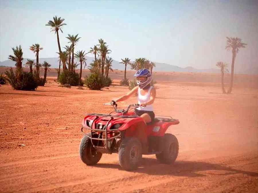 Sunset Quad Biking in the Palm Grove of Marrakech