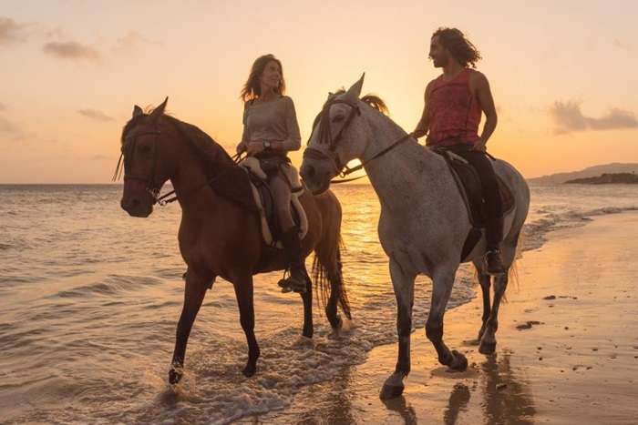 Nature’s Harmony: Horseback Riding & Gourmet Breakfast Adventure