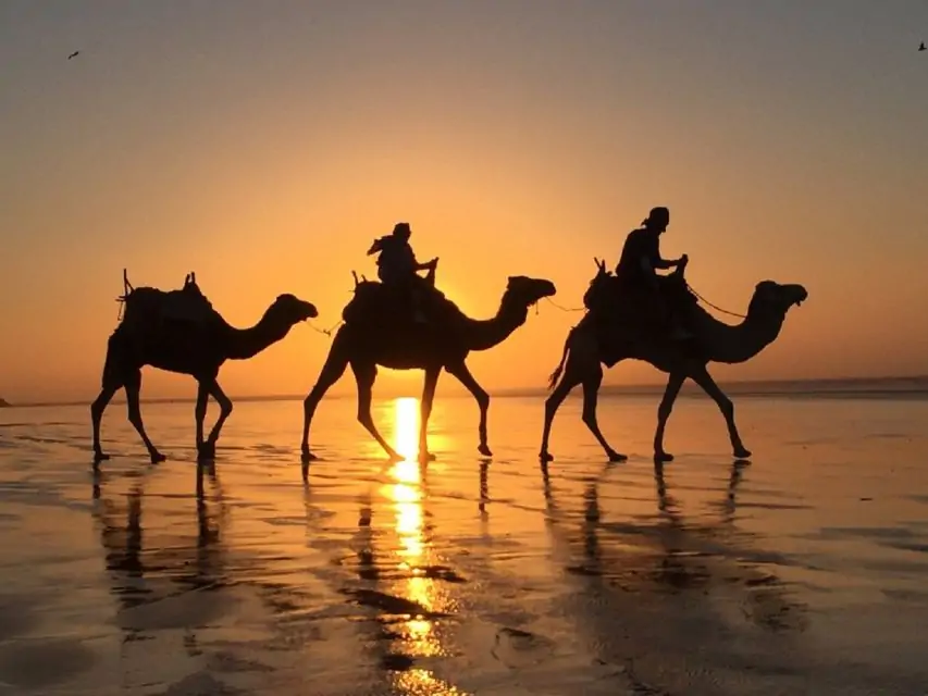 Tangier: Camel ride on Achakkar beach