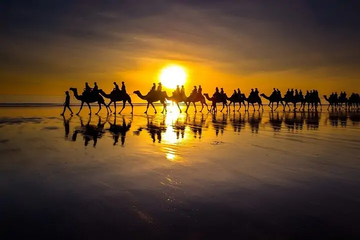 Tangier: Achakar Beach Sunset Camel Ride & Moroccan Dinner