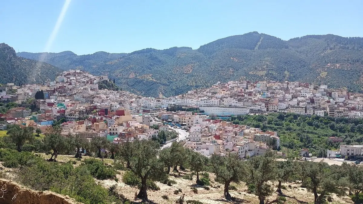 Volubilis, Moulay Idriss and Meknes Day Trip from Fez